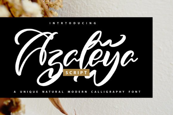 Azaleya: The Handwritten Typeface for Scroll-Stopping Campaigns