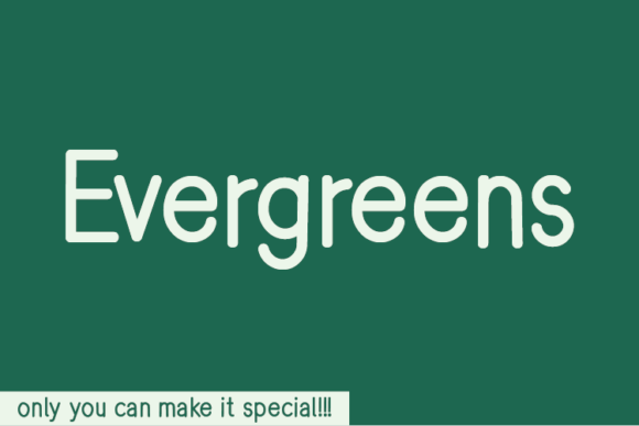 Evergreens Typeface Review: A Handwritten Script for Campaign Design