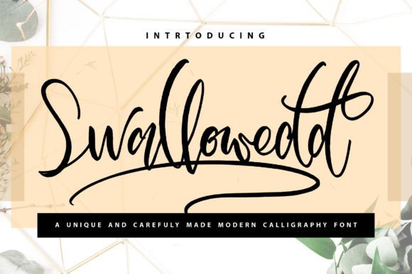 Swallowedd: The Perfect Handwritten Typeface for Modern Web Design